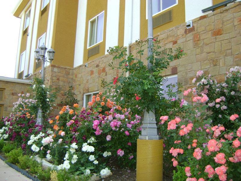 Blanco River Hotel Kültér fotó