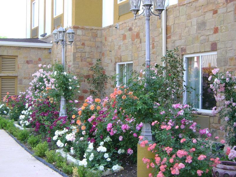 Blanco River Hotel Kültér fotó
